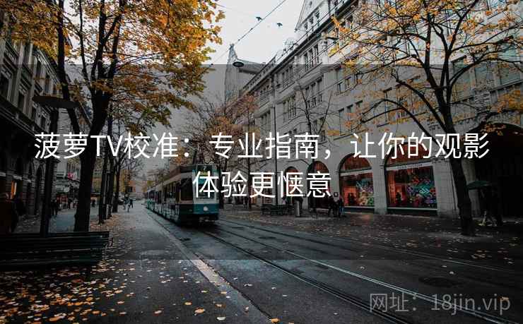 菠萝TV校准：专业指南，让你的观影体验更惬意
